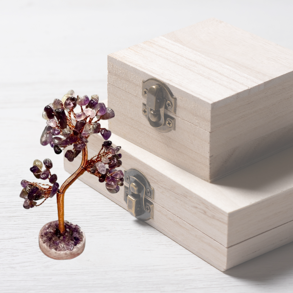 Coin base Tree|1827