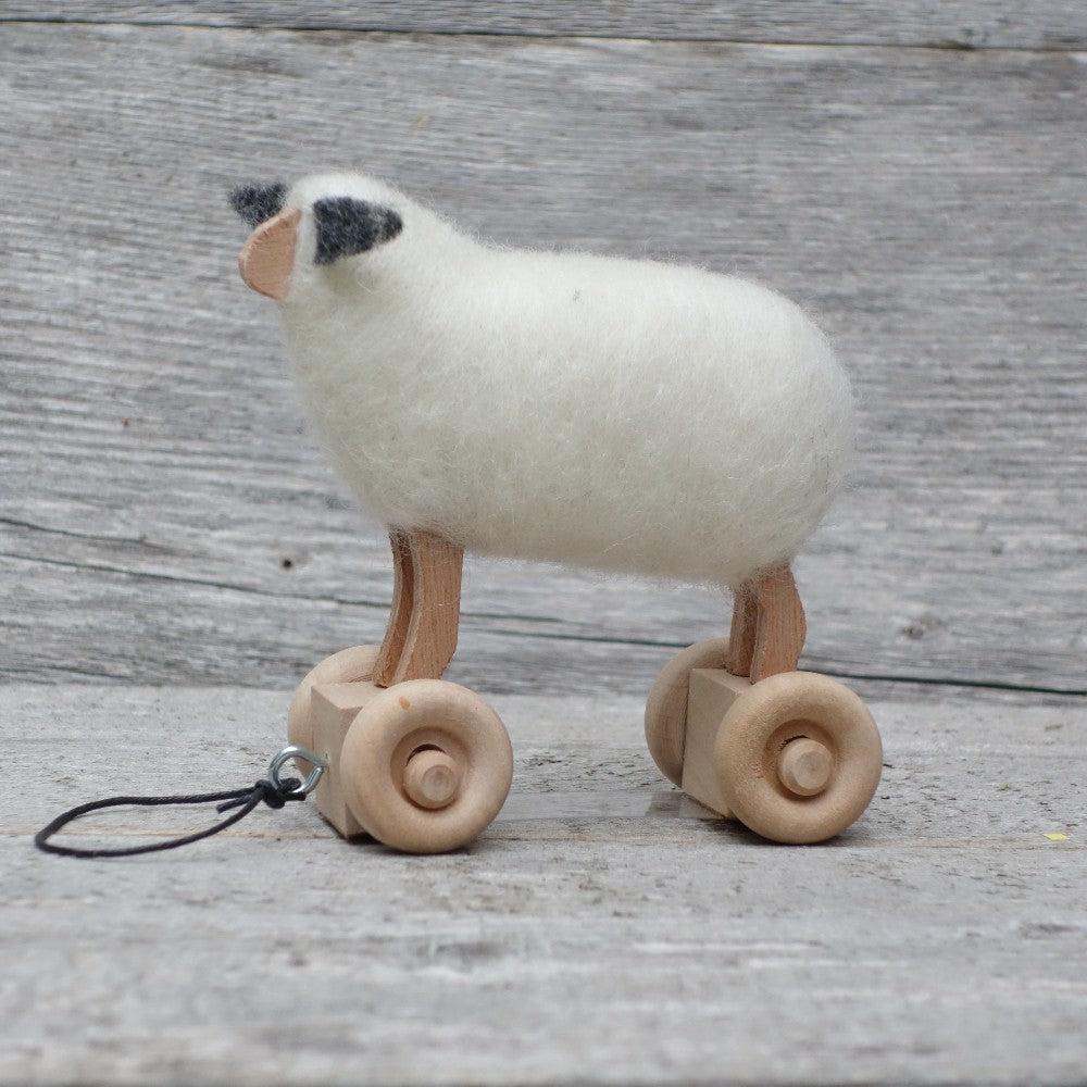 Sheep on Wheels|98