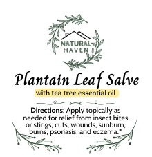 Plantain leaf salve 3oz|1706