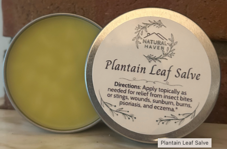 Plantain leaf salve 3oz|1704