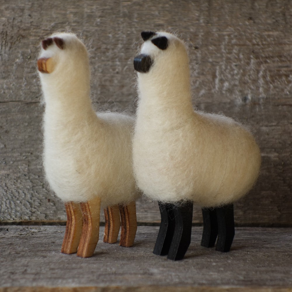Alpaca|96