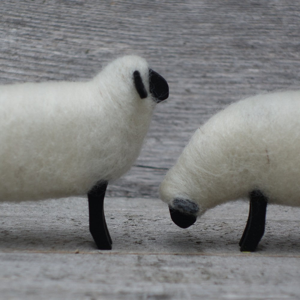 Sheep|38